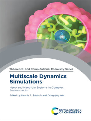 cover image of Multiscale Dynamics Simulations